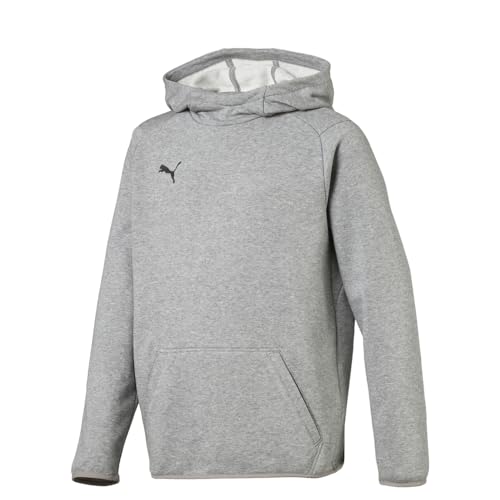 PUMA Unisex-Youth Liga Hoodie