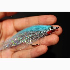 フライフィッシング　ルアー　釣り　洋書　写真集　Fishing 魚　アメリカ ルアー&フライフィッシング 改訂版: アメリカ流淡水魚釣りの