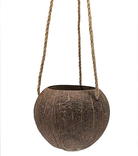 Coconut Shell Flower Pot