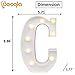 Pooqla LED Marquee Letter Lights Sign, Light Up Alphabet Letter for Home Party Wedding Decoration C