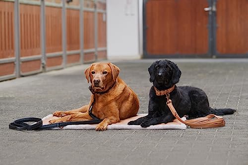 Eskadron Hunde Set Faux Leather Platinum23 Größe M, Farbe Black