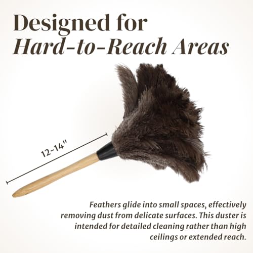 Image of Ostrich Feather Duster with Wooden Handle 14 inch - Natural Reusable Feather Duster for Cleaning, Furniture & Shelves, Blinds, Ceiling Fan, Dusting Tool for Home, Office, Delicate Surfaces - 1 Pack