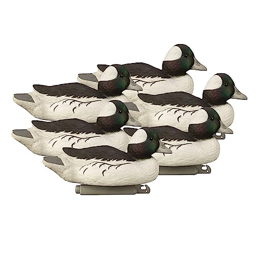 Higdon Standard Bufflehead 6-Pack