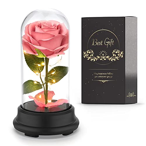 Deluxsa Rose Flower Gifts for Women Valentines Gifts for Her Birthday Gifts for Women Light Up Artificial Flowers Preserved Rose in Glass Dome(Pink)