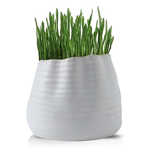 Nihow Keramik-Pflanztöpfe für Zimmerpflanzen - weißes Gewinde-Design Blumentopf mit Ablaufloch für Aloe, Orchidee, dekorativer Blumentopf für Pflanzgefäße Zimmerpflanzen 10,2 cm Cover