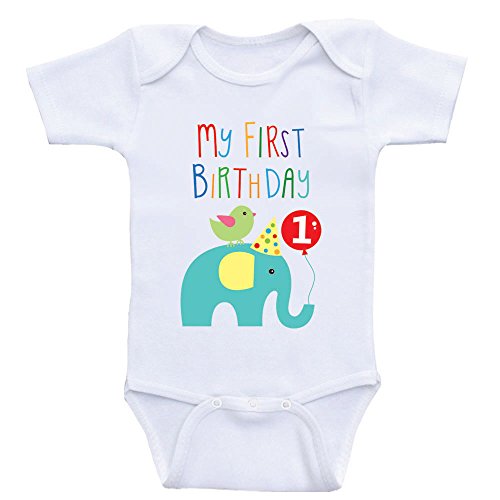 Image of My First Birthday - 1st Birthday Baby Clothes Bodysuits