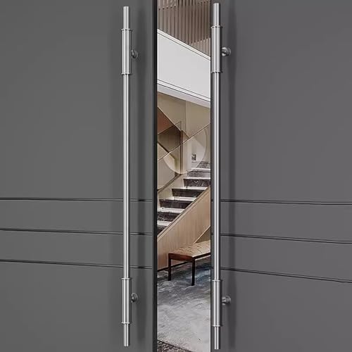 Poignées de porte françaises en acier inoxydable pour rénovation d'entrée