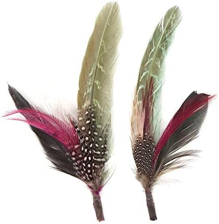 Zucker - Hat Feather Trims - Roaring 20s Flapper Style Feather Pick - Costume - Cosplay - Millinery - Floral Arrangements - Pheasant/Hackle/Guinea - Champagne/Mint/Natural