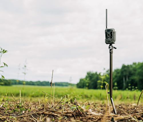 Image of Stealth Cam Deceptor No 80ft IR 40MP 1440P HD Cellular Trail Camera