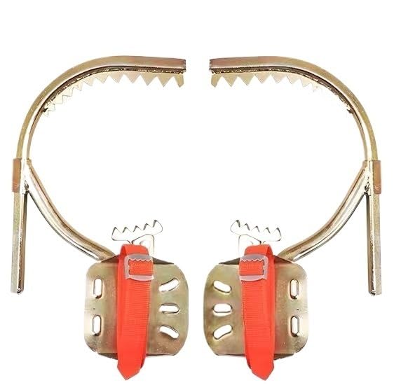 Picos para trepar árboles con hebillas de pie y cordón regulable, 1 unidad