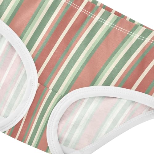 Red Green Stripe Toddler Girls's Underwear 2T 23009084