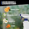 Simple Green Pet Stain and Odor Eliminator 32 oz