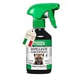 RepellShield Spray Repellente Topi e Anti Martora per Auto 250ml – Anti Roditore per Auto e Motore, Soffitta e Cantina – Formula a Base di Oli Naturali – Non Macchia – Alternativa a Ultrasuoni