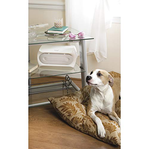 Hamilton Beach Trueair Air Purifier With Permanent Hepa Filter For Home Or Office And For Allergies And Pets, Whisper Quiet, 3 Filtration Stages, 140 Sq Ft, White With Grey #TOP6