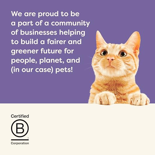 Applaws 100% natürliches Premium-Nassfutter für Katzen in Brühe für ausgewachsene Katzen - Thunfisch, Huhn, Meeresfisch Gemischte Auswahl in Brühe - Packung mit 12 x 70g Dosen