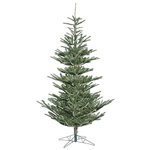 Vickerman 6 Alberta Spruce Artificial Christmas Tree Unlit Lifelike Indoor Seasonal Home Decor Maintenance Free Unlit Faux Spruce Christmas Tree
