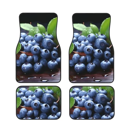 Delicious Blueberries �J�[�t���A�}�b�g �S�V��^ �t�����g���A�J�[�t�b�g�}�b�g 4���Z�b�g ����~�� �l�I�v���� �����ԃJ�[�y�b�g ���j�o�[�T���t�B�b�g �ԓ� SUV �o���A�g���b�N�p