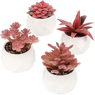 BELLE VOUS Pack of 4 Pink Artificial Succulent Plants in Pots - Decorative Faux Potted Flowers - Realistic Mini Fake Plants in Ceramic Pots for Home, Office, Table/Desk, Bedroom, or Bathroom Decor