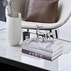 Set of 3 Decorative Books for Home Decor-Silver Foil Stamping Decor Books,Fashion Designer Books for Coffee Tables and Book Shelf Decoration Set of 3 Decorative Books for Home Decor Silver Foil Stamping Decor BooksFashion Designer Books for Coffee Tables and Book Shelf Decoration