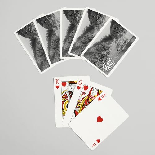 Lantern Press Grants Pass Oregon Baraja de Poker 52 cartas miniatura 7