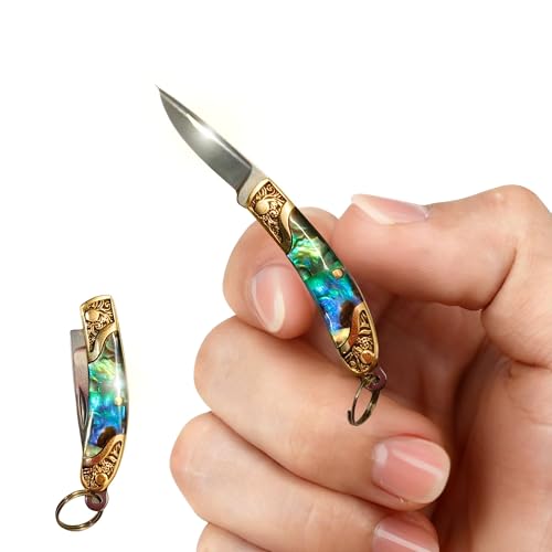 LGXDM Tiny Knife, 2.8inch Small Pocket Knife, Mini Cool Knives, Miniature Cutter Gadgets, Ultra Multifunction Cutting Blade Tool, Gift for Women Men (Golden Fruit Shell)