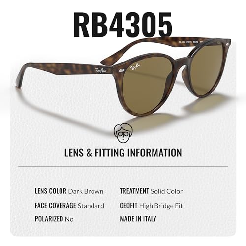 Ray-Ban RB4305 Phantos Shaped Sunglasses for Men & Women with Official RAYBAN Eyewear Kit4