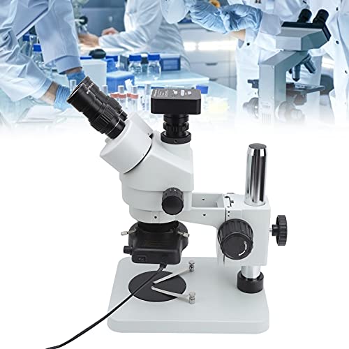 Stereomikroskop, 45 Grad geneigt 360 Grad schwenkbare Augentuben 21MP 2K USB Mikroskop Kamera Trinokulares Mikroskop für… – Bild 4
