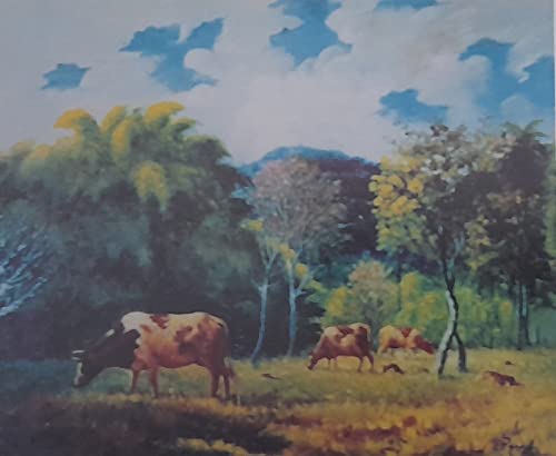 Parra 50 Anos de Um Sonho