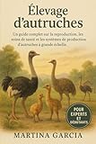  ÉLEVAGE D’AUTRUCHES: Un guide complet sur la reproduction, l’alimentation, les soins de santé et les systèmes de production d’autruches à grande échelle.