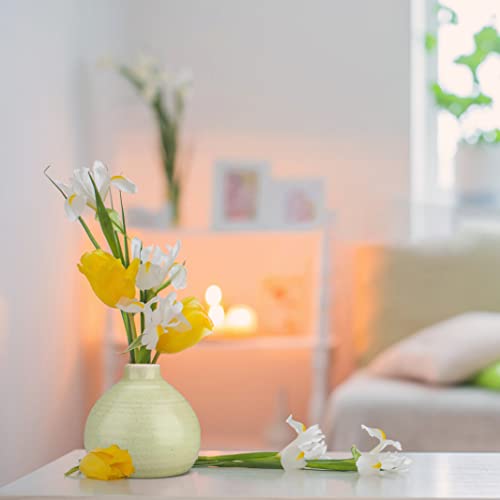 Decoratieve tulpenvaas, set van 2 vazen voor gedroogde bloemen, bloemenvazen, decoratieve vaas voor woonkamer slaapkamer kantoor, hoogte 16 cm/12,5 cm - Afbeelding 5