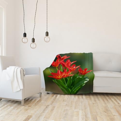 Plaid polaire tulipes rouges contre le froid lit simple chaud - 5