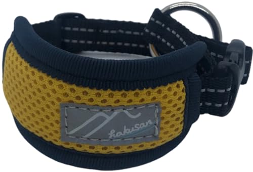 [hakusan] nNT ̎ɗD bV\tgJ[ (CG[/xNxȂ, L)