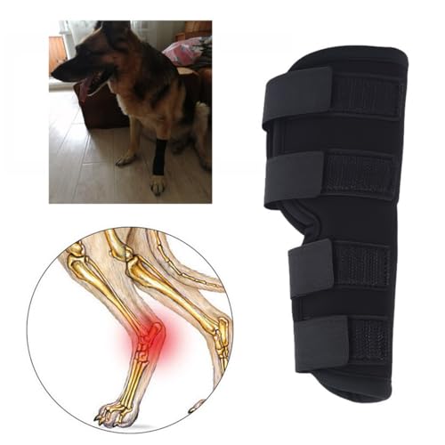 Image of iHOO 1 Pair Dog Front Leg Brace, Prevents Injuries and Sprains,Knee Support for Dogs with 2 Bandages L