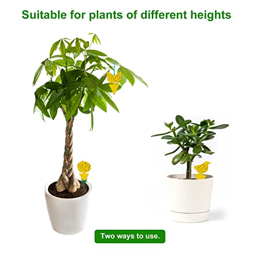 54 Pack Fruit Fly Trap for Indoor, Gnat Traps for House Indoor, Fungus Gnat Killer Sticky Traps for Plants, Mosquitoes, Flying Insects