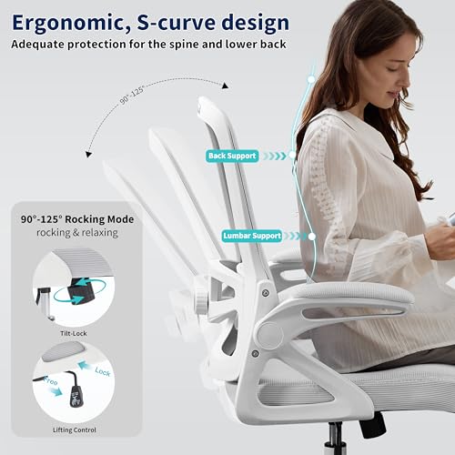 Image of Ergonomic Office Chair, Desk Chair with Adjustable Lumbar Support, Breathable Mesh Comfy Computer Chairs with Flip-up Armrests Executive Task Chair for Adults Home Office(Gray)