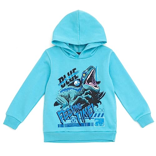 Amazon.com: Jurassic World Park Blue Toddler Boys Fleece Pullover