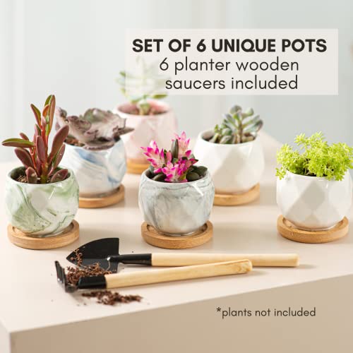Ilohaus Succulent Pots Set Of 6, Plant Pots Indoor, Succulent Planters, Small Plant Pots, Cactus Pot, Cute Plant Pots, Small Flower Pots, Small Succulent Pot, Small Planter Set #TOP1
