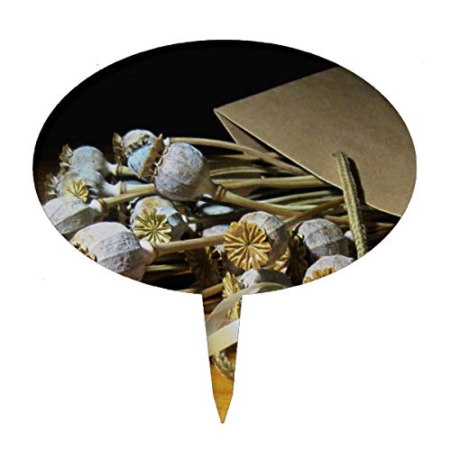 Dried Flower Poppy Pods Cake Topper