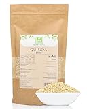 Weiße Quinoa 500g von der Grünen Essenz - Eiweißquelle - Quinoa weiß ganz - Ersatz für Haferbrei - Proteinquelle (500 Gramm)