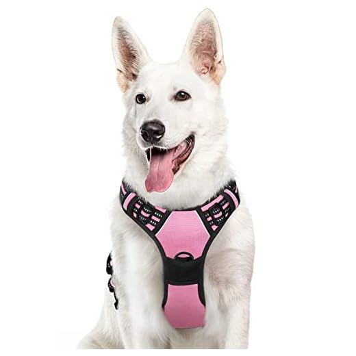 Joytale Hundegeschirr, Reflektierend Weich Gepolstert Hunde Geschirr, Air-Mesh Atmungsaktiv Brustgeschirr für Kleine Mittelgroße Hunde, M, Leuchtend Rosa 8 Eagloo Hundegeschirr Geschirr für Große Hunde Anti Zug Mittelgroße Brustgeschirr No Pull Sicherheitsgeschirr Auto Dog Harness Labrador Welpengeschirr Joggen Ausbruchsicher Weich Gepolstert Rosa XL