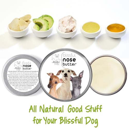Image of The Blissful Dog Italian Greyhound Unscented Nose Butter - Dog Nose Butter, 2 Ounce