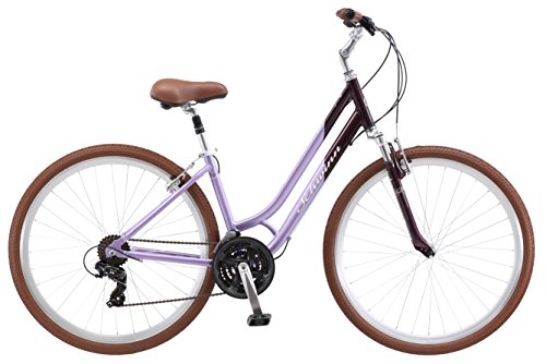 capitol schwinn cyclery