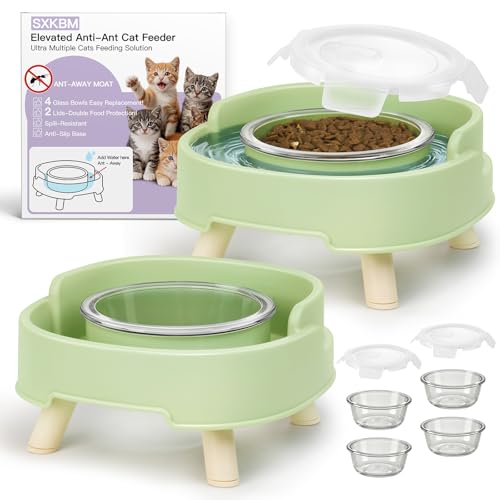 SXKBM 2 Pack Ant Not Cross Elevated Cat Bowls Mess Proof-4 Food Grade Glass Bowls & 2 Lids- No Spill Cat Food and Water Feeding Station for Cats&Puppy Indoor & Outdoor No Whisker Fatigue Dish Green