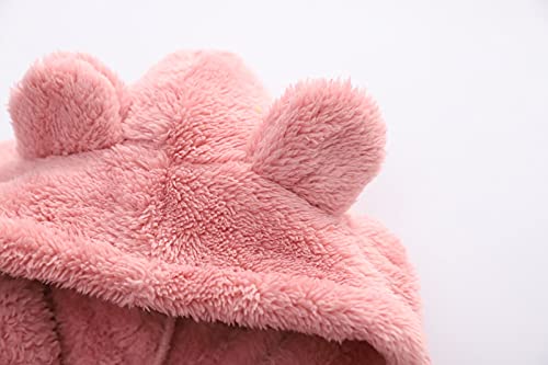 Toddler Boy Girl Sherpa Hoodies Warm Fleece Hooded Pullover Sweatshirt Long Sleeve Outwear Kids Fall Winter Outfit4