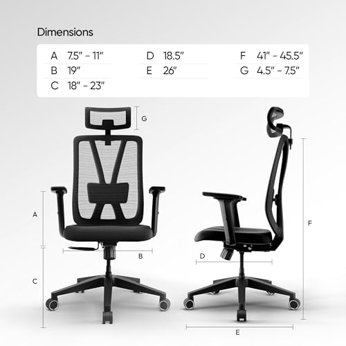 Image of Frido Aeromesh Classic Ergonomic Office Chair with Headrest | Breathable Mesh Backrest, Adjustable Lumbar Support & 2D Armrests | Comfortable Computer Chair for Home, Work & Long Sitting Hours | Black