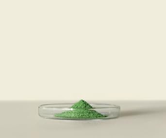 Matchaeologist Misaki Ceremonial Grade Matcha Powder Japanese Shade-Grown Green Tea, Stone-Ground Premium Matcha with Rich Umami Flavor (20g / 0.7oz)
