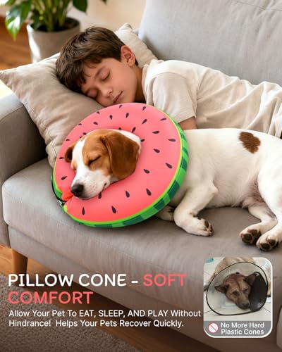 Image of MIDOG Inflatable Dog Cone, Soft Donut Recovery Collar, Red, Small