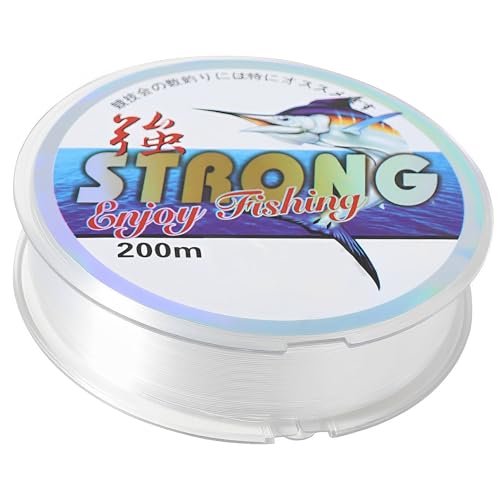 KINDOYO 100 Metros Hilo de Pesca - 0,4mm Hilo de Pescar Transparente Línea de Pesca de Nylon Monofilamento Linea de Pesca Sedal Invisible para Colgar Decoraciones, Manualidades, Pesca