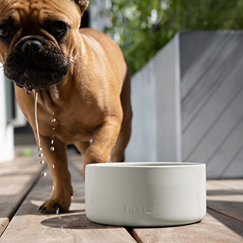 Fable Ceramic Dog Bowl - Weighted Ceramic Dog Bowl Prevents Sliding - Dual Textured Dog Ceramic Bowl - Modern Ceramic Dog Water Bowl - Food-Safe Ceramic Puppy Bowls - Tofu - Xs/S #TOP4