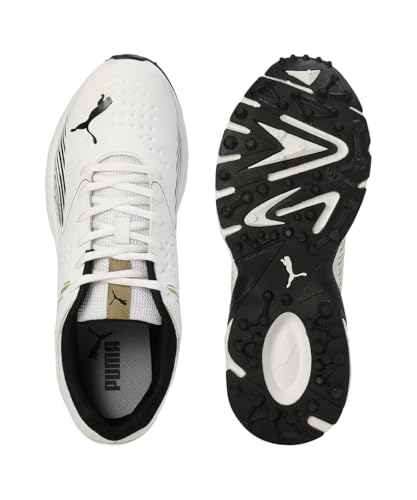 Image of Puma Men Cricket Power Cricket Shoe